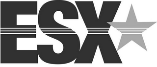 ESX logo