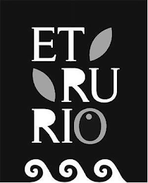 ET RU RIO logo