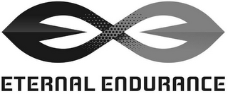 ETERNAL ENDURANCE logo