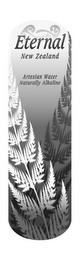 ETERNAL NEW ZEALAND ARTESIAN WATER NATURALLY ALKALINE logo