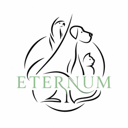 ETERNUM logo