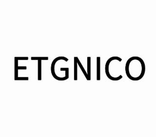 ETGNICO logo
