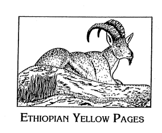 ETHIOPIAN YELLOW PAGES logo