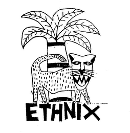 ETHNIX logo