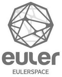 EULER EULERSPACE logo
