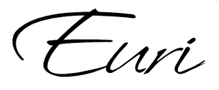 EURI logo