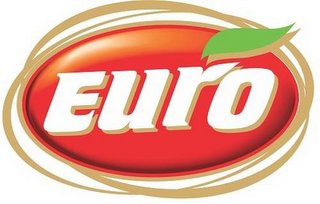 EURO logo