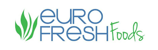 EURO FRESH FOODS logo