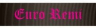 EURO REMI logo