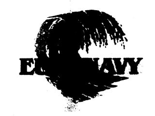 EURONAVY logo