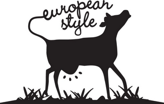 EUROPEAN STYLE logo