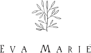 EVA MARIE logo