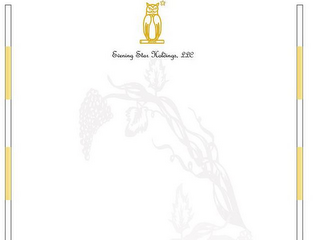 EVENING STAR HOLDINGS, LLC