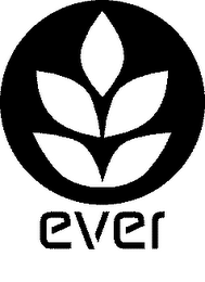 EVER logo