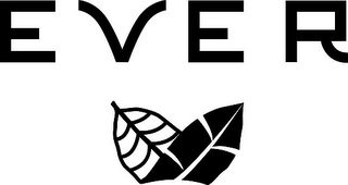EVER logo