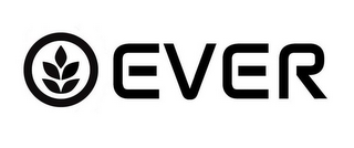 EVER logo
