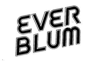 EVER BLUM logo