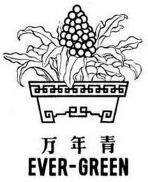 EVER-GREEN logo