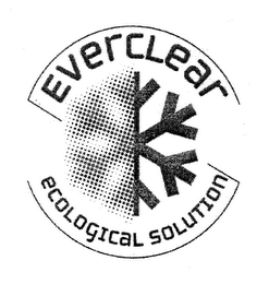 EVERCLEAR ECOLOGICAL SOLUTION logo
