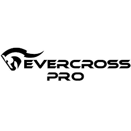 EVERCROSS PRO logo