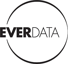 EVERDATA logo
