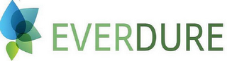 EVERDURE logo