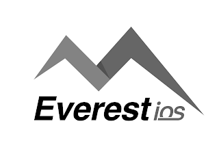 EVERESTIOS logo