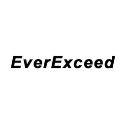 EVEREXCEED logo