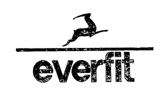 EVERFIT logo