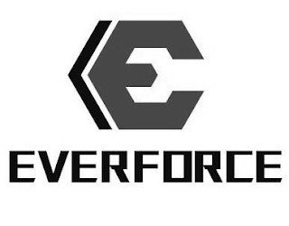 EVERFORCE logo