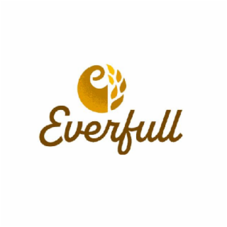 EVERFULL logo