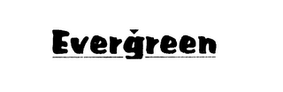EVERGREEN logo