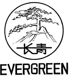 EVERGREEN