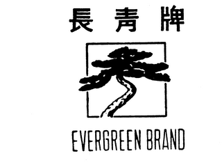 EVERGREEN BRAND logo