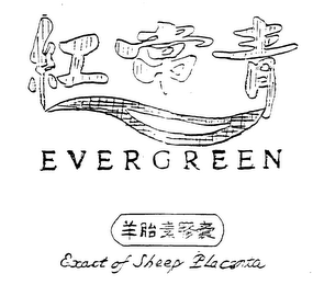 EVERGREEN EXACT OF SHEEP PLACENTA logo