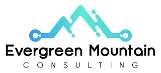 EVERGREEN MOUNTAIN CONSULTING logo