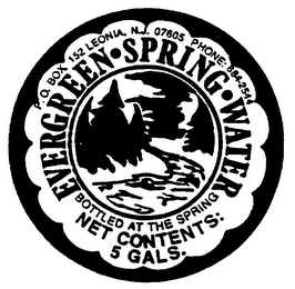 EVERGREEN SPRING WATER BOTTLE AT THE SPRING NET CONTENTS 5 GALS. logo