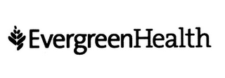 EVERGREENHEALTH logo