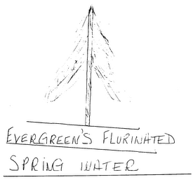 EVERGREEN'S FLURINATED SPRING WATER logo