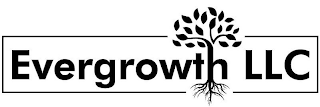 EVERGROWTH LLC logo