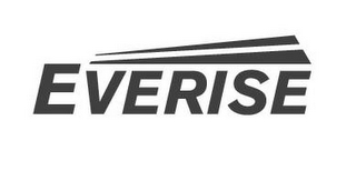 EVERISE logo