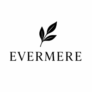 EVERMERE logo