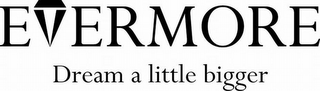 EVERMORE DREAM A LITTLE BIGGER logo