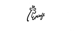 EVERSOFT logo