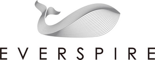 EVERSPIRE logo