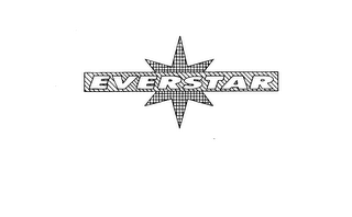 EVERSTAR logo