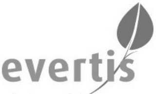 EVERTIS logo