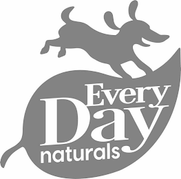 EVERY DAY NATURALS logo