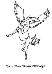 EVERY HORSE DESERVES WYNGZ logo