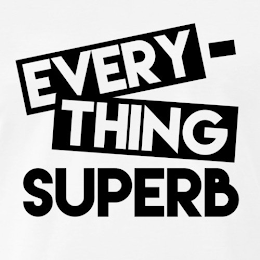 EVERY-THING SUPERB logo